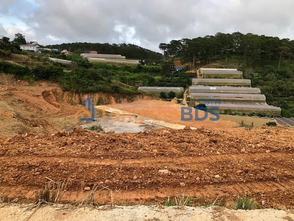 Đất Nền Nghỉ Dưỡng 1187m² Xuân Thọ, Đà Lạt - Sổ Riêng, Sẵn Xây Dựng