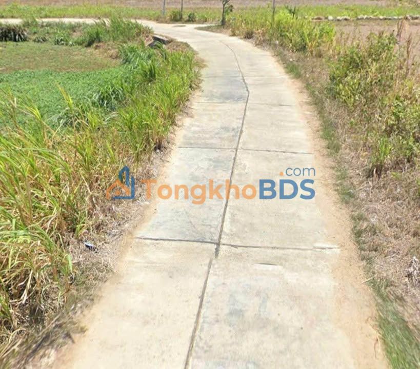 Đất Vườn Đắk Lắk 697m² Giá Tốt - Chốn Nghỉ Dưỡng Lý Tưởng