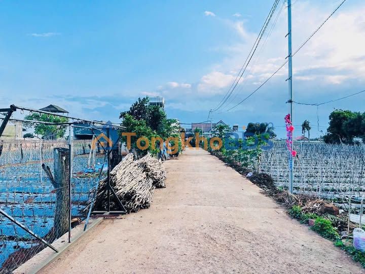 Bán Gấp Đất Nền 112m² Tổ 34 Đức Trọng - Giá 1.18 Tỷ