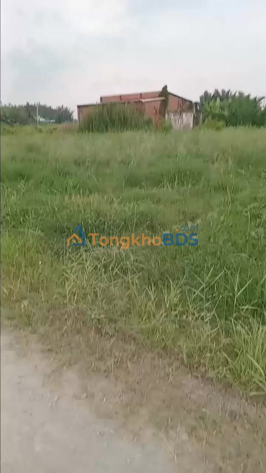 Đất thổ cư Tân Chánh Cần Đước 100m² 700 triệu - Sổ hồng riêng