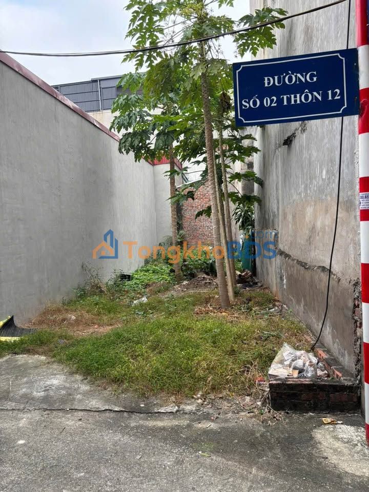 Đất thổ cư Vĩnh Phúc 60.7m² - Sổ hồng sẵn - Giá chỉ 8xx triệu