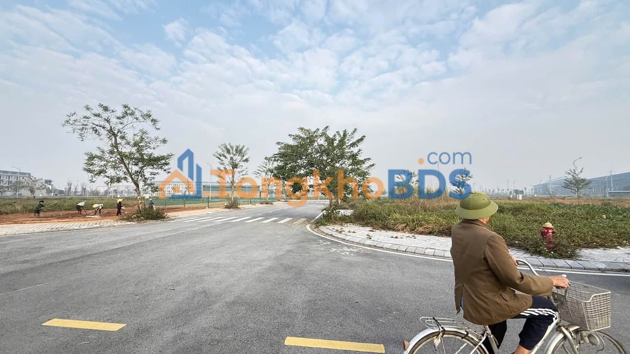 Đất nền Tứ Trưng Vĩnh Tường 301m² - Đường to ô tô