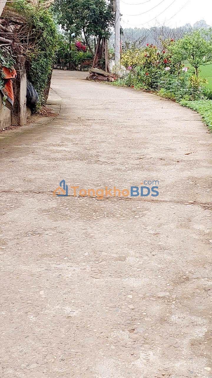 Đất Lô Góc 300m² Mặt Tiền 10m Khu 7 Vân Phú - Đầu Tư Đón Đầu Quy Hoạch