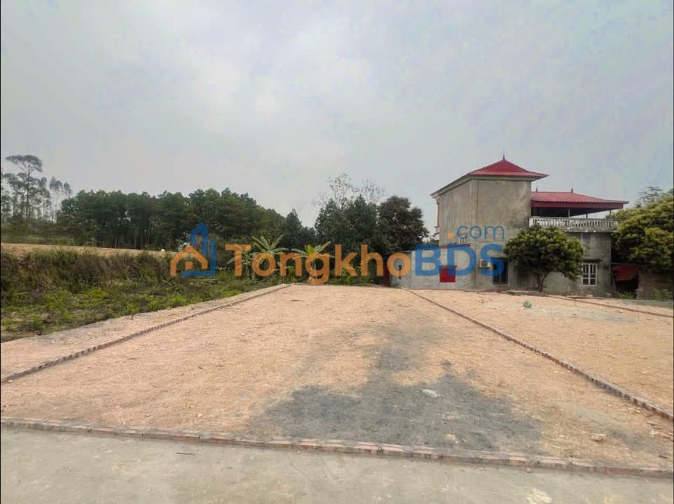 Đất Nền Tam Nông, Phú Thọ 120m² - Sổ Đỏ Sẵn Sàng, Vị Trí Đẹp