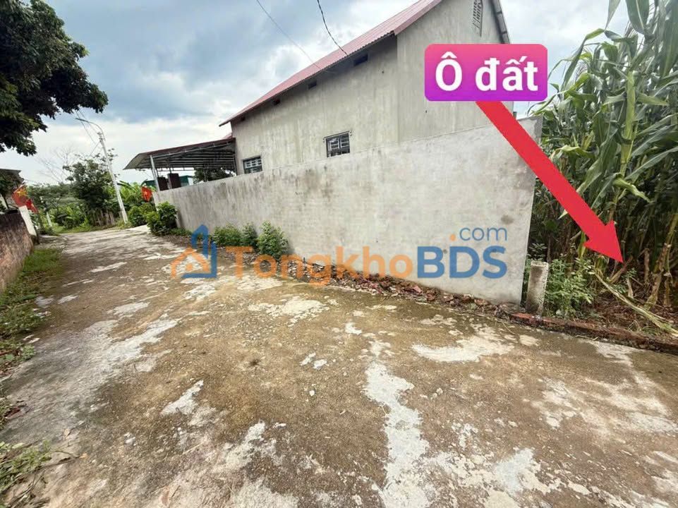 Đất nền Thôn Gô Kim Long 100m² 7xxtr - Sổ đỏ chính chủ