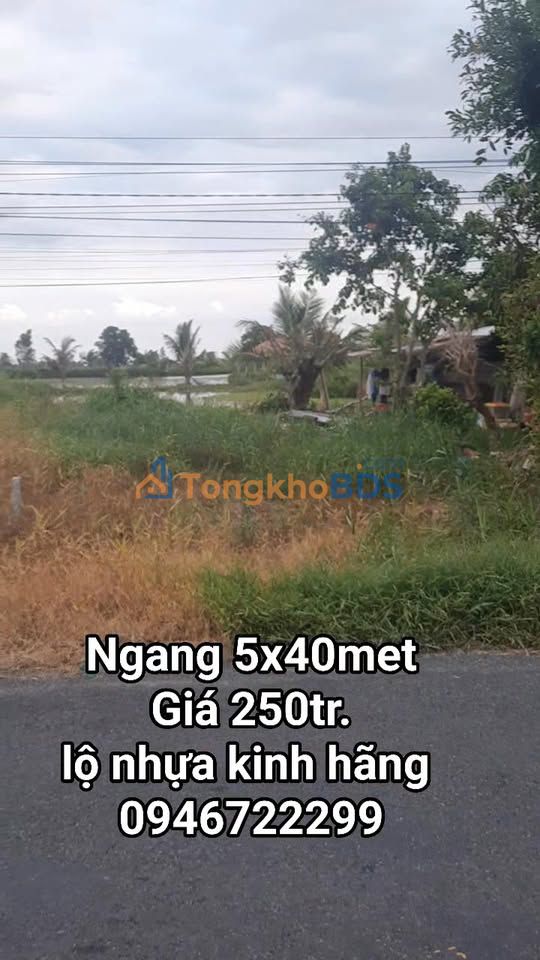 Bán Đất Lộ Nhựa Kinh Hãng, An Minh Bắc - 200m² Kinh Doanh/An Cư