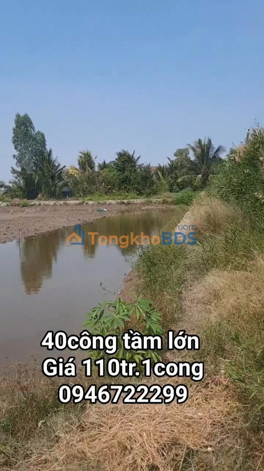 Farm 400.000m² mặt tiền 98m tại An Minh, Kiên Giang - Vụ Tôm Vụ Lúa