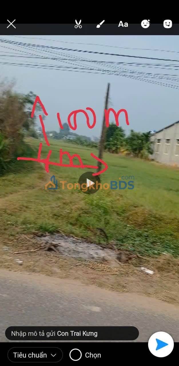 Bán Đất Vàng Trảng Bàng, Tây Ninh - 3900m² Vuông Vắn, Giá Tốt