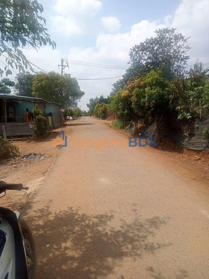 Bán Đất Nền Nguyễn Văn Nghi, Quy Nhơn - 145m² Giá Ngộp 3.2 Tỷ