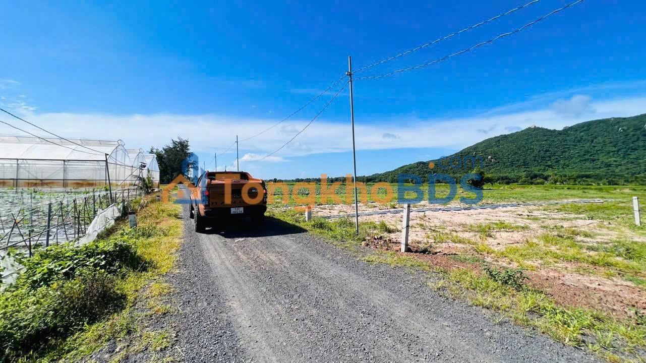 Đất Vườn Phước Hải 802m² - Sổ Đỏ Sẵn Sàng - Gần Biển & View Núi