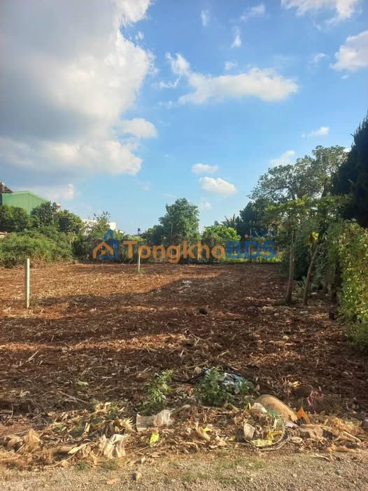 Đất Nền Đức Trọng 276m² - Sổ Thổ Cư Sẵn Sàng - Chỉ 1.75 Tỷ