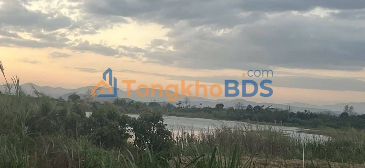 Đất Mặt Tiền DH1 Đức Trọng 565m² (11x50m) - Sẵn Sàng Kinh Doanh, Giá 2.6 Tỷ