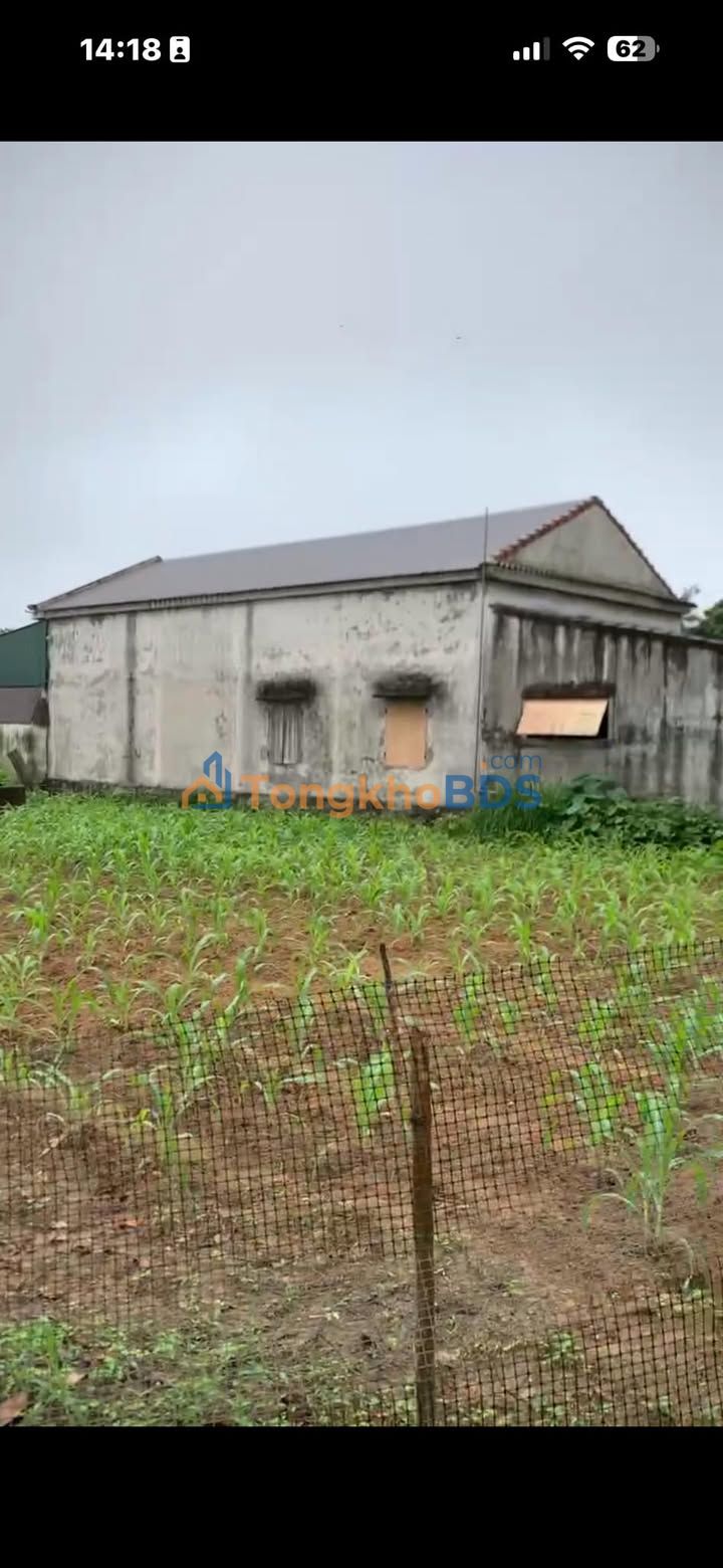 Bán Đất Nền 688m² Huyện Kỳ Anh, Hà Tĩnh - Sẵn Sổ Đỏ