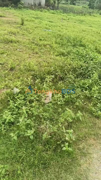 Đất nền Tân Hồng Kon Tum 263m² 6.x tỷ - Sổ hồng chính chủ