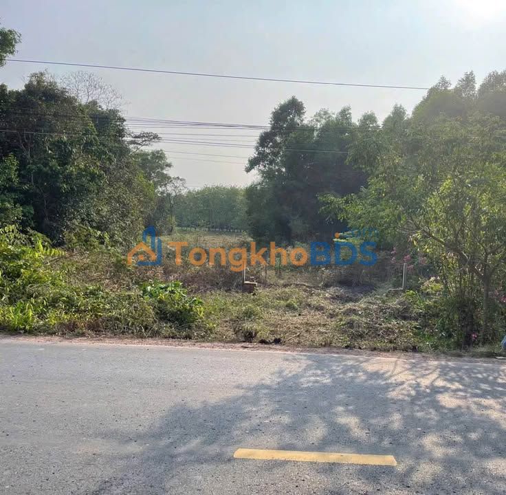 Đất nền mặt tiền DT788, Châu Thành, Tây Ninh - 270m² giá 350 triệu