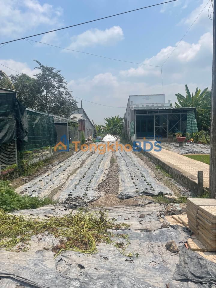 Bán Đất Vườn 2432m² Tỉnh Lộ 943, Thoại Sơn - An Giang | Giá Tốt Chính Chủ