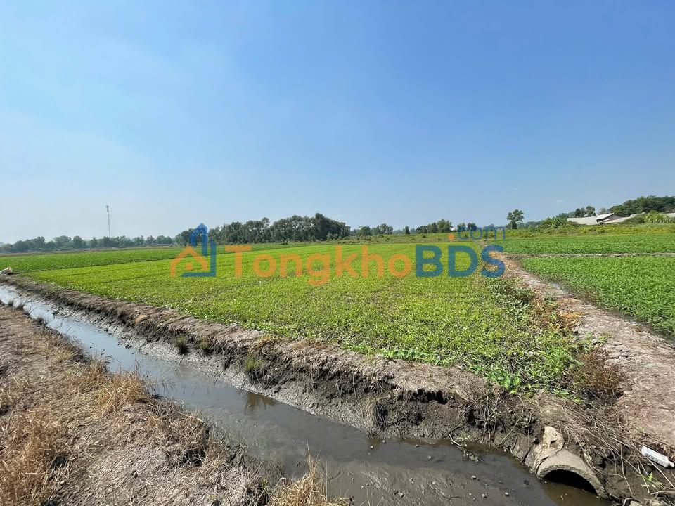 Bán Đất Nông Nghiệp Củ Chi 3280m² - Giá 6.5 Tỷ TL