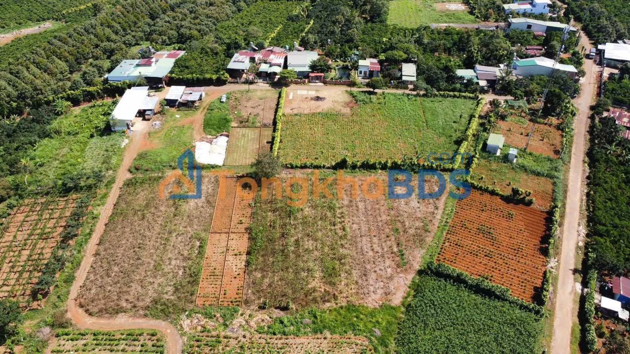 Đất Lộc An, Bảo Lâm - 100m² Full Thổ Cư, Giá 520 Triệu