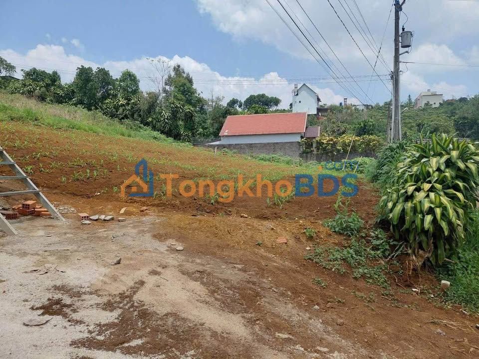 Đất Nền Phường 2 Bảo Lộc 100m² Sổ Hồng Riêng - Bán Lỗ Cực Sốc!