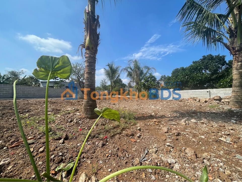 Đất Nền Sổ Hồng Riêng Bảo Vinh, Long Khánh - 110m² Giá 950 Triệu