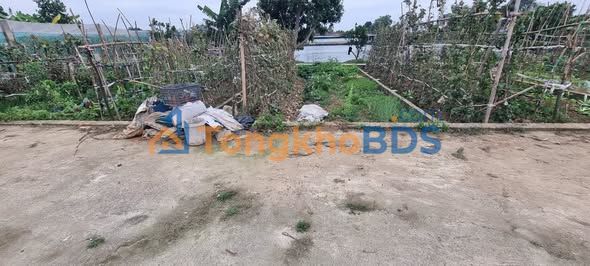 Đất nền Xóm Mít Cổ Loa 41m²/2 tỷ - Sổ đỏ chính chủ