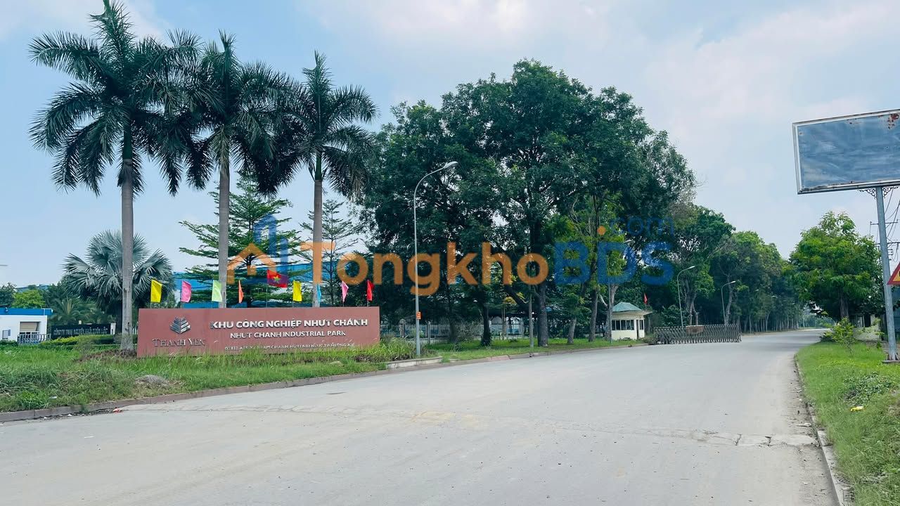 Đất Nền Thổ Cư Bến Lức 100m² - Kế KCN Nhựt Chánh, Giá 1.29 Tỷ