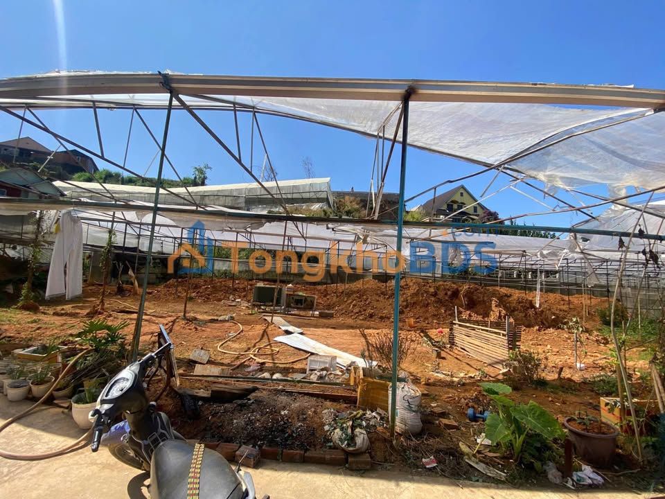 Đất Nền Đà Lạt 54m² - Sổ Chung Nông Nghiệp, Giá Sốc 950 Triệu