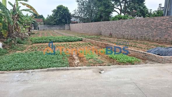 Đất nền Bắc Giang 163m² Hướng Bắc - Sổ đỏ 1.5 tỷ, gần TL 299B