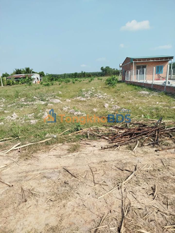 Đất nền Thành Long Châu Thành 1000m² 210 triệu - Sổ đỏ chính chủ