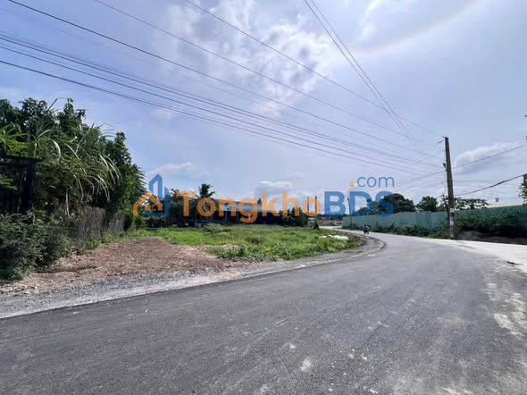 Bán Đất Mặt Tiền Nhựa Út An Đức Hòa 155m² - Giá Tốt 1.75 Tỷ