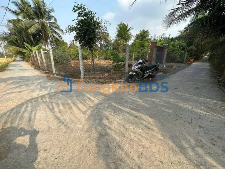 Bán Đất Nền 320m² 2 Mặt Tiền Bến Lức - Sổ Hồng Sẵn Sàng