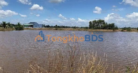 Bán Đất Vườn Mặt Tiền Sông Vàm Cỏ Tây - Thủ Thừa, Long An - 10.700m² Giá 7.5 Tỷ