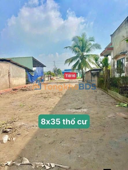 Đất Nền Mặt Tiền Kênh TL816 Bến Lức 280m² - Giá 2.65 Tỷ TL