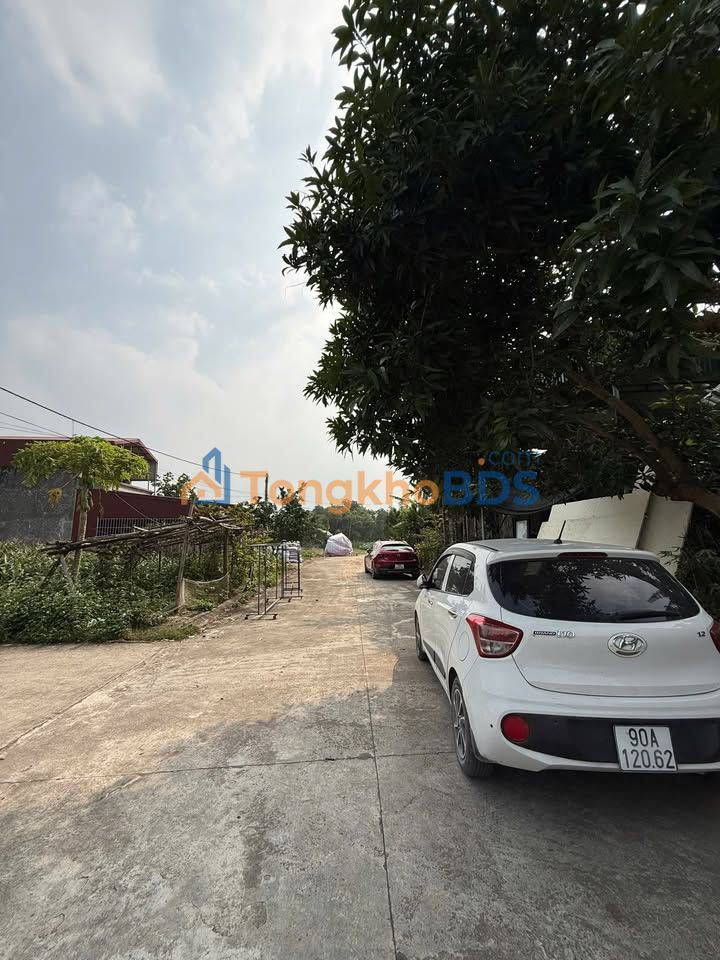 Đất nền Yên Nam, Duy Tiên, Hà Nam - 68m² - Chỉ hơn 1 tỷ - Sổ đỏ sẵn sàng