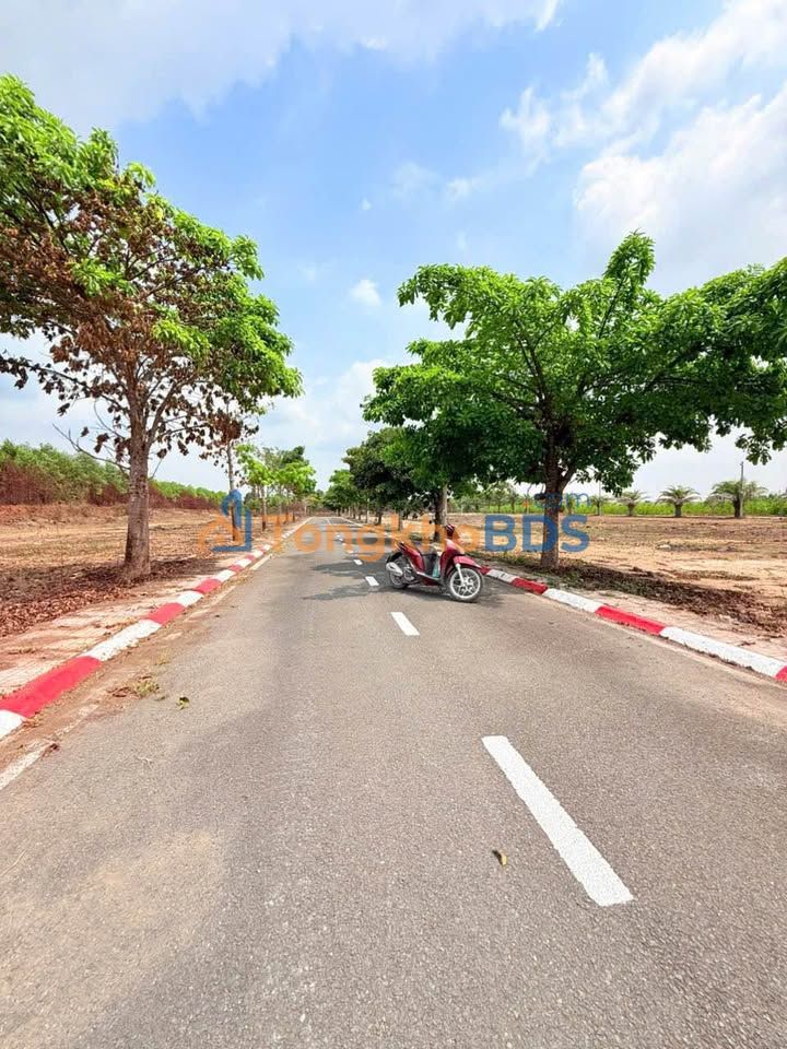 Bán Gấp Đất Nền Lộc An, Long Thành 125m² - Sổ Hồng Thổ Cư 100%