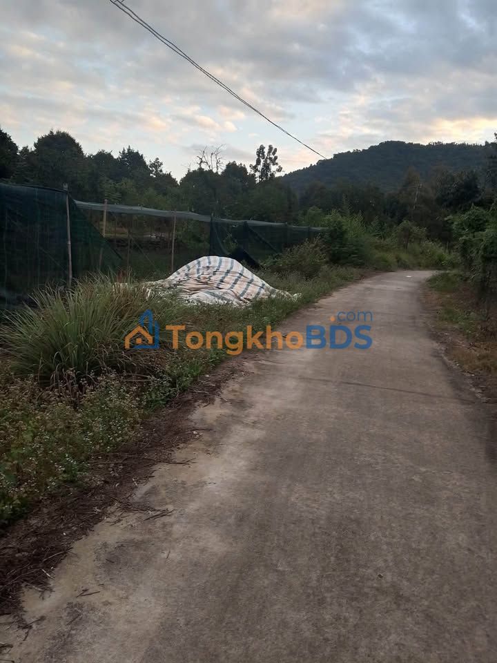 Bán Rẫy Sầu Riêng 3.600m² Mặt Tiền Bê Tông 100m - Biên Hòa, Đồng Nai