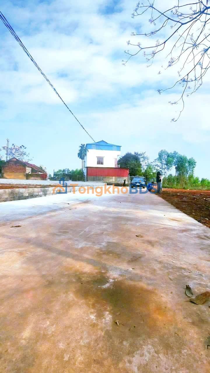 Bán Đất 310m² 2 Mặt Tiền Lục Nam, Bắc Giang - Giá 850 Triệu