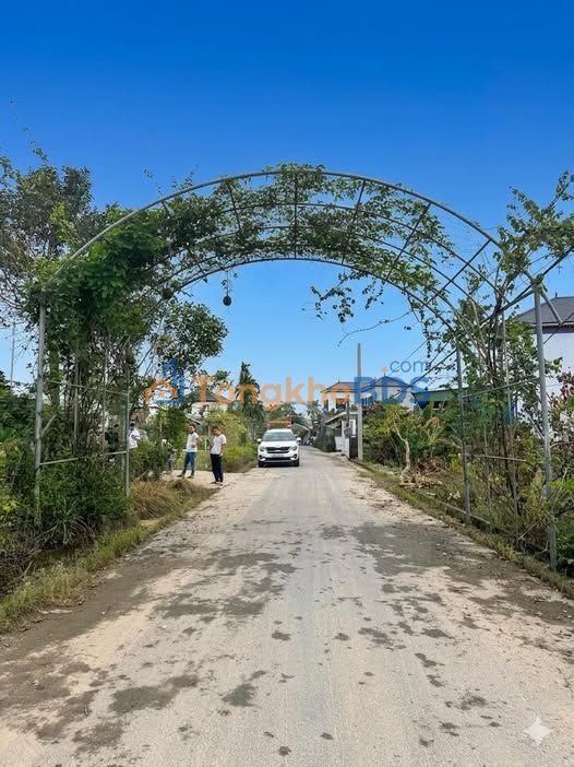 Đất Thôn Văn Minh Tân Lâm Hương 150m2 giá 1 tỷ - Hạ tầng hoàn thiện