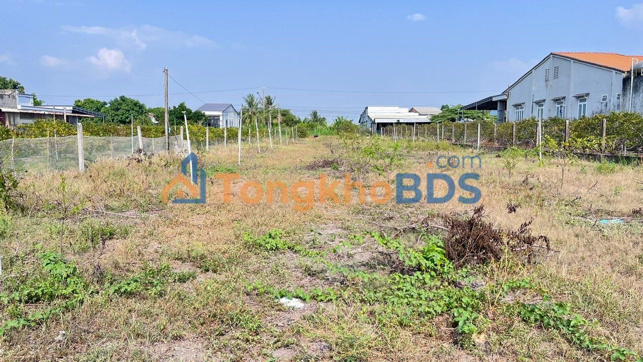 Đất nền mặt tiền đường nhựa Tân Khánh, Tân An - 1008m² - Giá 900 triệu