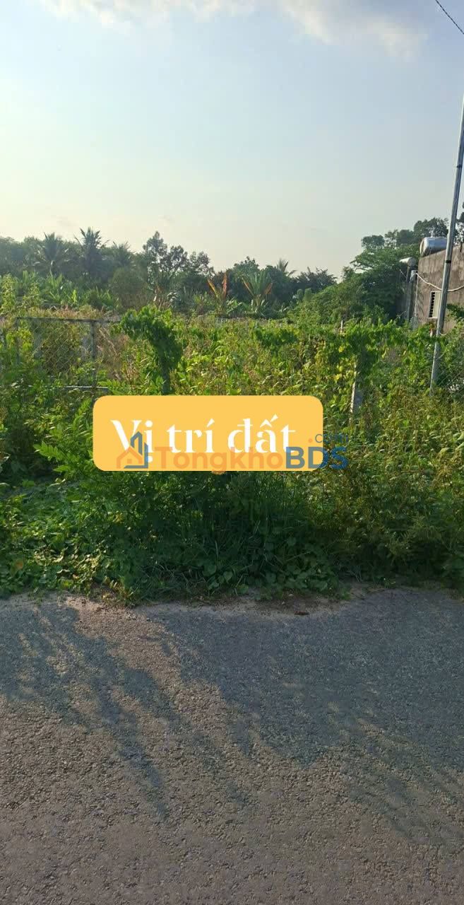 Đất Thổ Cư 270m² Trảng Bàng, Tây Ninh - Sổ Hồng Sẵn Sàng