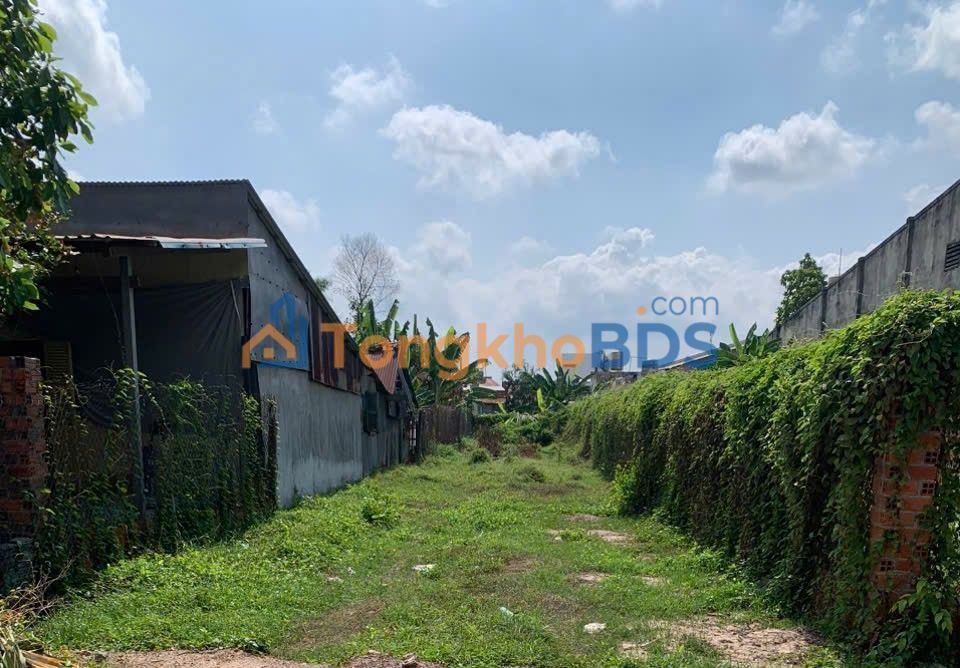 Đất Mặt Tiền Tôn Đức Thắng, Hòa Thành, Tây Ninh - 300m² Thổ Cư, Giá 4xx Tỷ