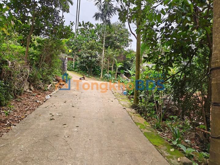 Đất nền Ba Vì 1000m2 giá từ 2 tỷ - Tiềm năng tăng giá