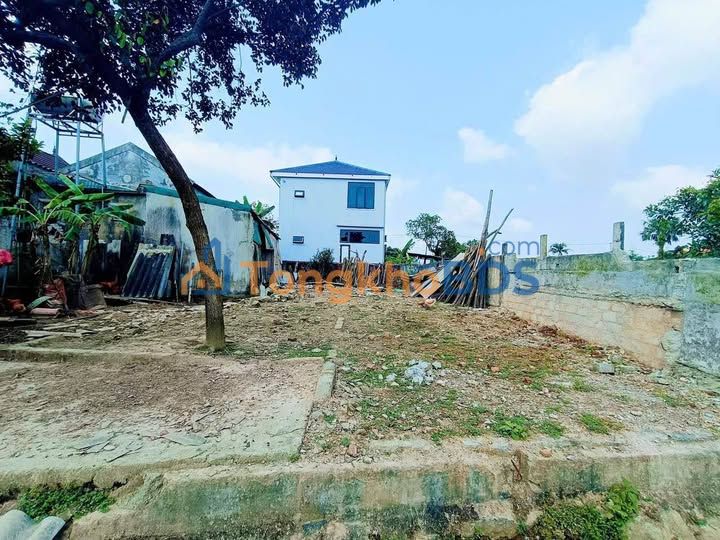 Bán Gấp Đất Nền TDP Mỹ Triều, Hà Tĩnh - 140m² Full Thổ Cư, Hướng Đông