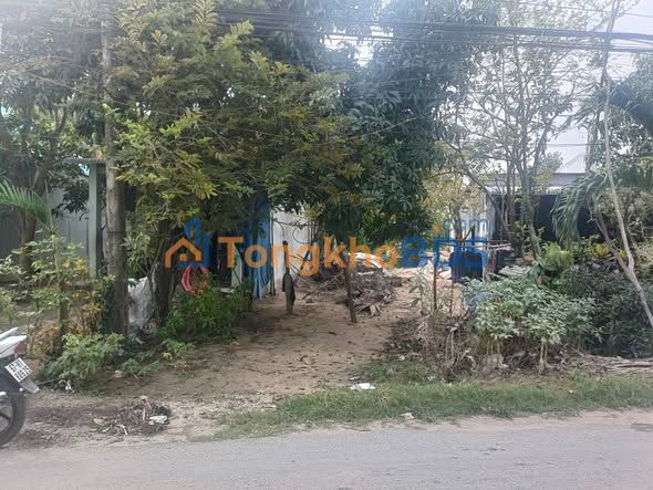 Bán Đất Nền Mặt Tiền Đường Nhựa Tân Châu 108m² - Sổ Hồng Sẵn Sàng