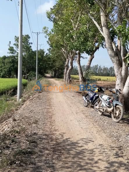 Đất Vườn 9000m² Long Châu, An Giang - Giá Đầu Tư 8 Tỷ, Sẵn Sổ Đỏ