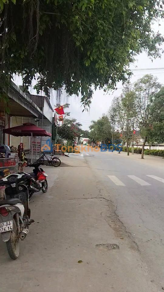 Đất Nền Yên Thành - 160m² Sổ Đỏ Chính Chủ Gần Chợ, Trường Học