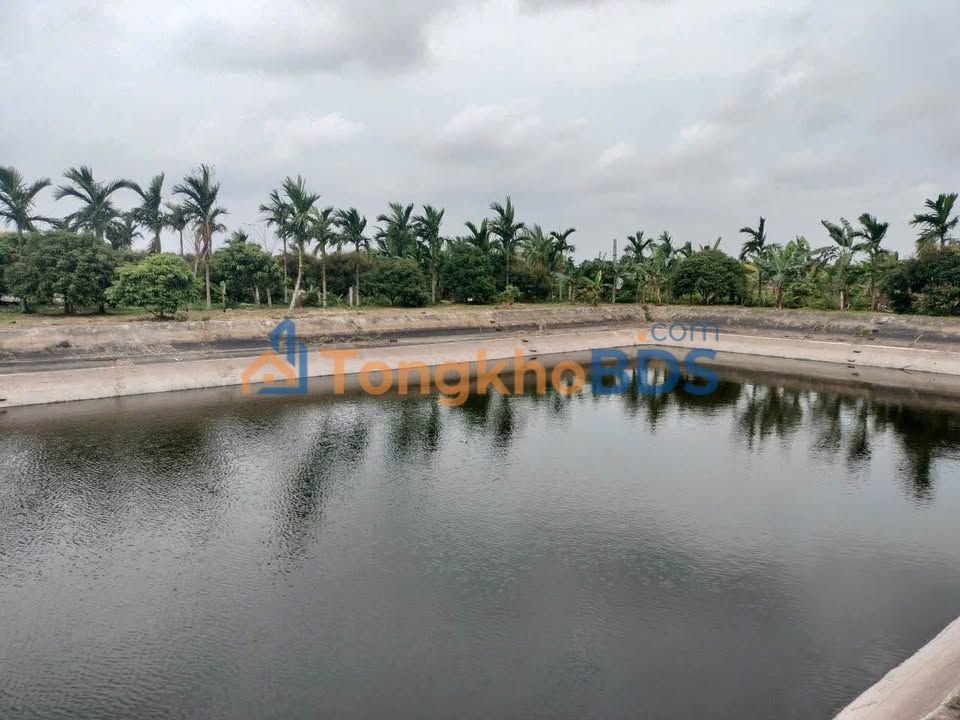 Đất Vườn Xanh Mát 3528m² Vĩnh Lại, Hải Dương - Đầu Tư Sinh Lời 250 Triệu/Năm