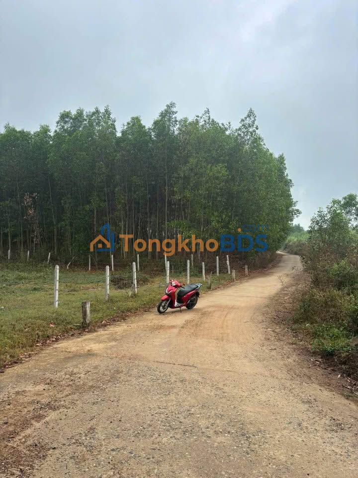 Bán Nhanh 2 Lô Đất Vườn Diên Toàn, Khánh Hòa - 1169m² Chỉ 500 Triệu