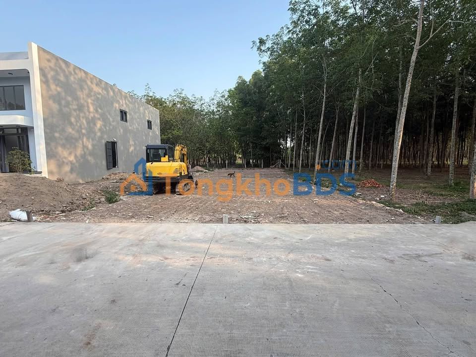 Đất Nền 157m² Phường Chánh Mỹ, Thủ Dầu Một - Sổ Đỏ Sẵn Sàng