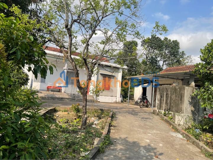 Bán Đất Rừng 2629m² Phường Mạo Khê, Đông Triều - Sổ Đỏ Rõ Ràng, Giá Tốt